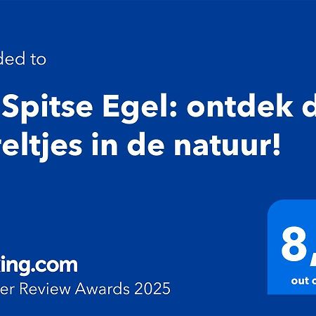 De Spitse Egel: Ontdek De Pareltjes In De Natuur! Otterlo Extérieur photo