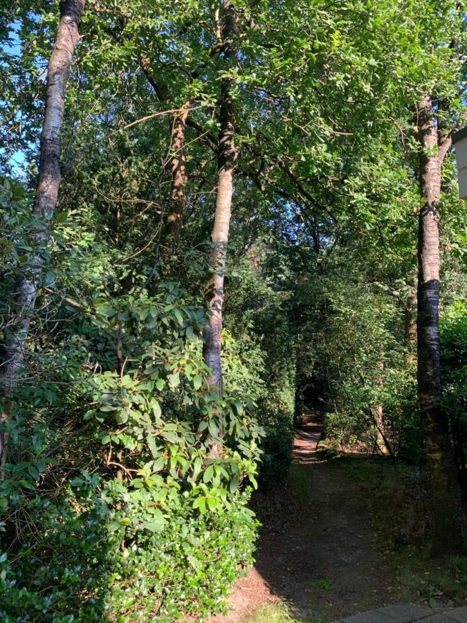 De Spitse Egel: Ontdek De Pareltjes In De Natuur! Otterlo Extérieur photo