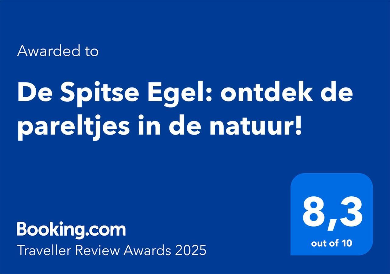 De Spitse Egel: Ontdek De Pareltjes In De Natuur! Otterlo Extérieur photo